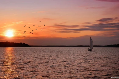 Free Windows 7 Desktop Backgrounds   Wallpapers Cave