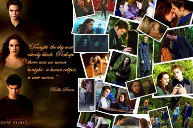 Great New Twilight Saga Wallpapers