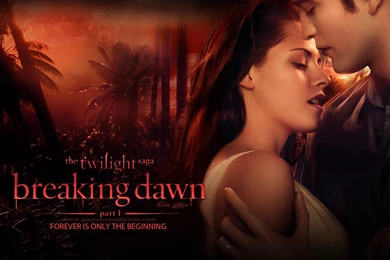 Breaking Dawn   The Twilight Saga: Breaking Dawn Part 1 Wallpapers ...