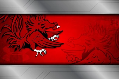 Gamecocks   DeviantArt