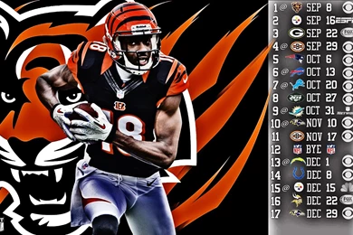 Cincinnati Bengals Wallpapers » WallDevil   Best Free HD Desktop ...