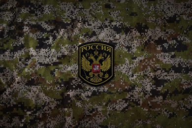 Russian Forest Camouflage Wallpapers   1680x1050   740359