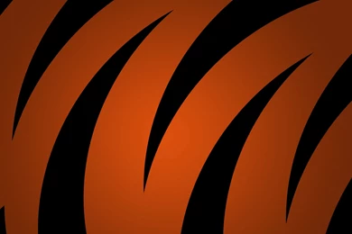 Orange Tigers Striped Texture Wallpapers