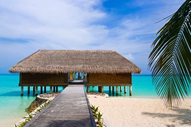 House, Beach, Backgrounds (