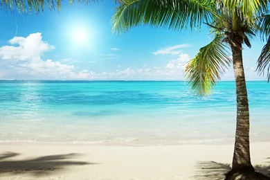 Tropical Beach Backgrounds 3.jpg