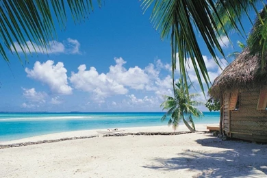 Summer Beach Backgrounds   Wallpapers Cave