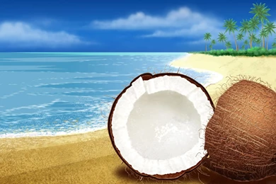 Windows, Coconut, Beach, Backgrounds, Wallpaper, Fresh (