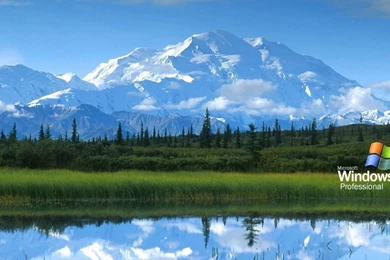 Xp Desktop Backgrounds   Wallpapers Cave