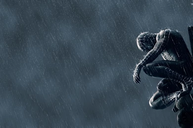 Spider man 3 43091 2560x1600.jpg