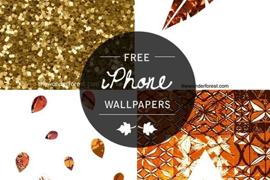 Search For "label/iphone"