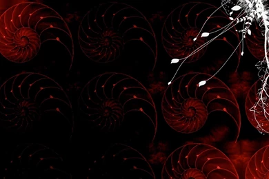 Graphic Design Desktop Wallpapers 6908 Hd Wallpapers In Creative ...