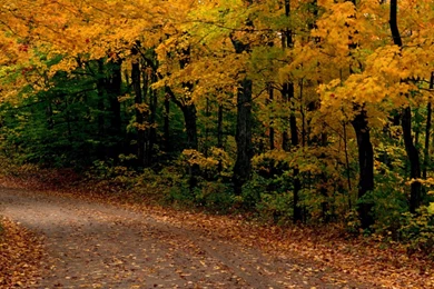 Free Fall 4K Wallpapers