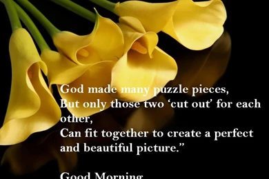 Good Morning Love Quotes With Pictures