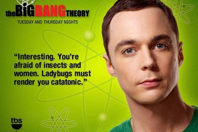 Free Download Big Bang Theory Fever 1920×1080 Resolution ...