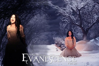 Evanescence's Amy Lee   Evanescence Wallpapers (35517555)   Fanpop