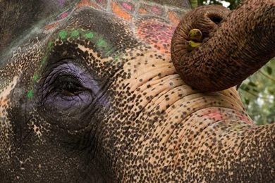 Eat, Pray, Love HD Wallpapers