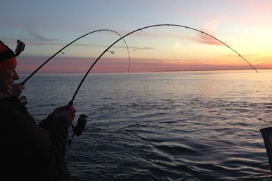HUGE Beginning To The Annual “Catch And Release” Trophy Striper ...