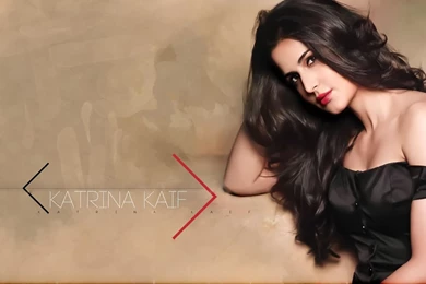 Katrina Kaif Wallpapers Download Free   Wallpapers HD Fine