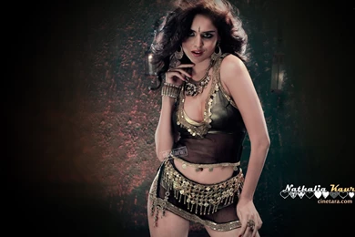 All Indian Actresses  Bollywood Actress Hot Sheela Kaur Wallpapers ...