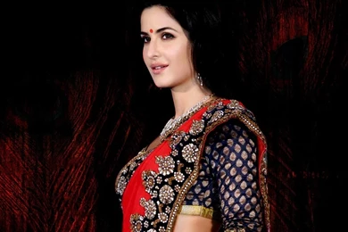 Katrina Kaif 1600x1200 Wallpapers, 1600x1200 Wallpapers & Pictures ...