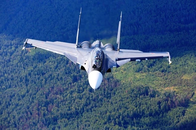 Sukhoi Su 30 Forest Wallpapers   1920x1200   651442