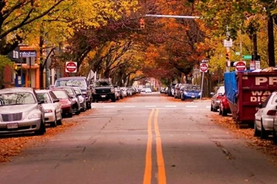 Autumn iPhone 5s Wallpapers