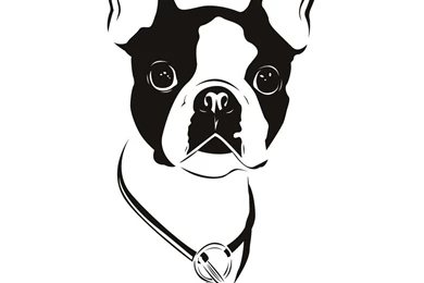 Gallery For   Boston Terrier Art Wallpapers