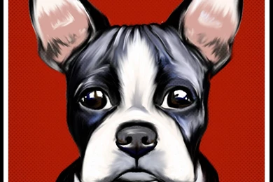 Cute Boston Terrier Art Wallpapers
