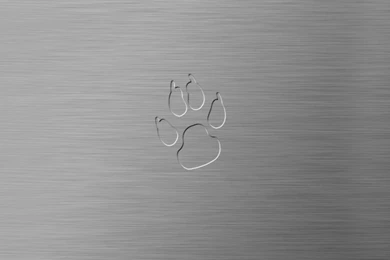 Cougar Steel Push Wallpapers By Chris2fresh On DeviantArt