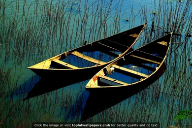 Best Np300 4K Or HD Wallpapers For Your PC, Mac Or Mobile Device