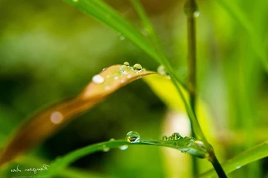 Nature Wallpapers, Nature Backgrounds, View, Amazing Landscape ...