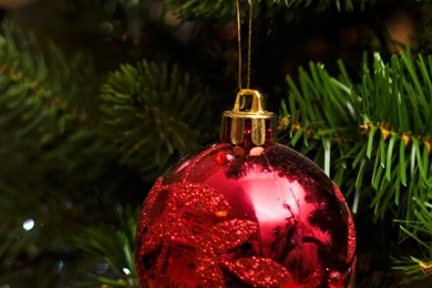 Red Christmas Globe Mobile Wallpapers 3547