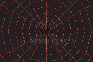 Black And Red Spider Web Pattern · GL Stock Images