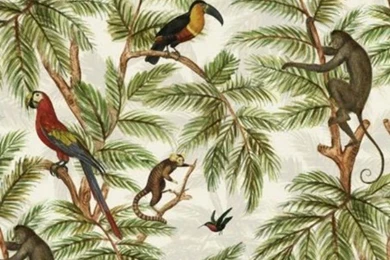 Jungle Theme Wallpapers   Yasmin Chopin Interior Design