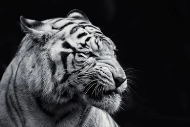 High Quality 1600x900 HD Wallpapers 0   HD Wallpapers N