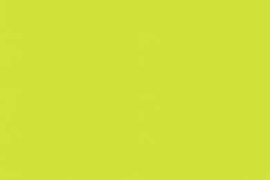 Paste The Wall Wallpapers From Home Flair Decor