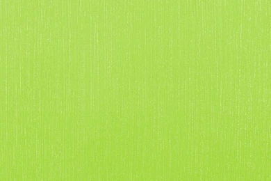Wallpapers Rasch Just Me! 2014 Wallpapers 232776 Plain Green Silver ...