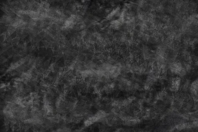 Spider Web (texture)