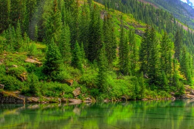 Green Nature HD Wallpapers, Green Nature Pictures, New Wallpapers