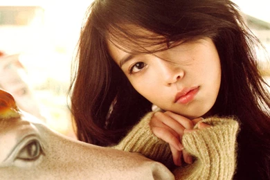 Korean Computer Wallpapers, Desktop Backgrounds