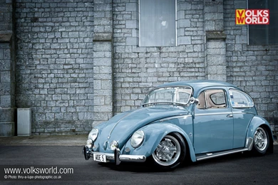 Latest Volkswagen Beetle Articles, Galleries & Videos   VolksWorld