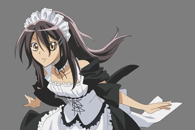 Kaichou Wa Maid sama! Wallpapers