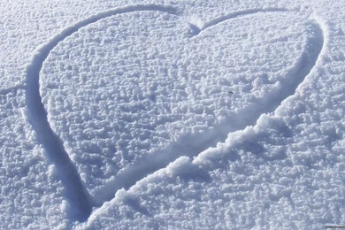 Snow Heart HD Wallpapers Free Download