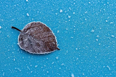 Snow Wallpapers Archives   Wallpapers HD Free Wallpapers In All ...