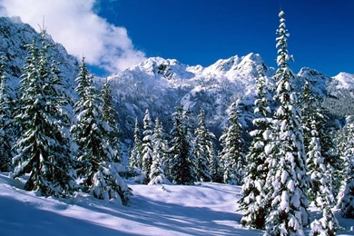 Free Wallpapers Of Natural Scenery Of Snow