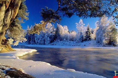 Snow Wallpapers Free Downloads