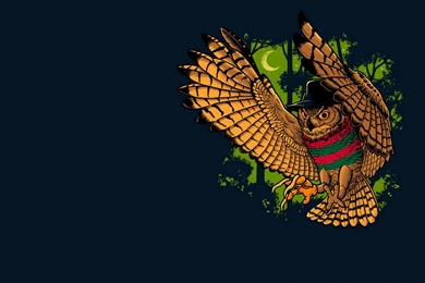 Download Wallpapers 2560x1600 Owl, Bird, Freddy Krueger, Minimalism ...