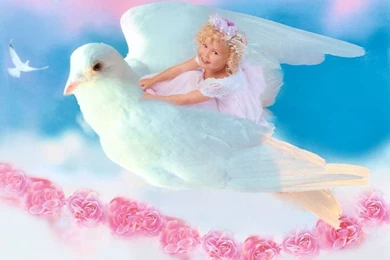 Desktop baby animals wallpaper download.jpg