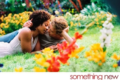 Sanaa Lathan   Sanaa Lathan In Something New Wallpapers 3 800x600