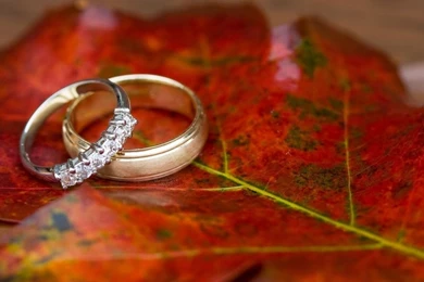 Romantic Valentines Day Rings Desktop Wallpapers 12   1152x864 ...